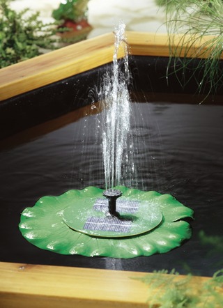 Solar-Pumpe Seerose
