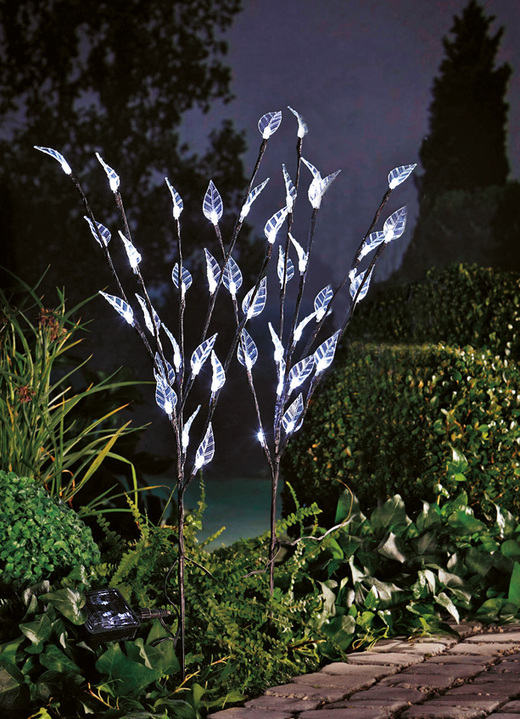 Gartenbeleuchtung - Solar-Lichterzweige, 3er-Set, in Farbe TRANSPARENT