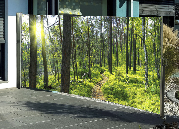 Sicht- & Sonnenschutz - Seitenmarkise Wald, in Farbe , in Ausführung Kassette links, Auszug nach rechts Ansicht 1