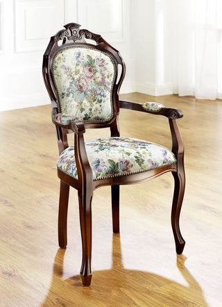 Elegante Esszimmer Stühle oder Sessel