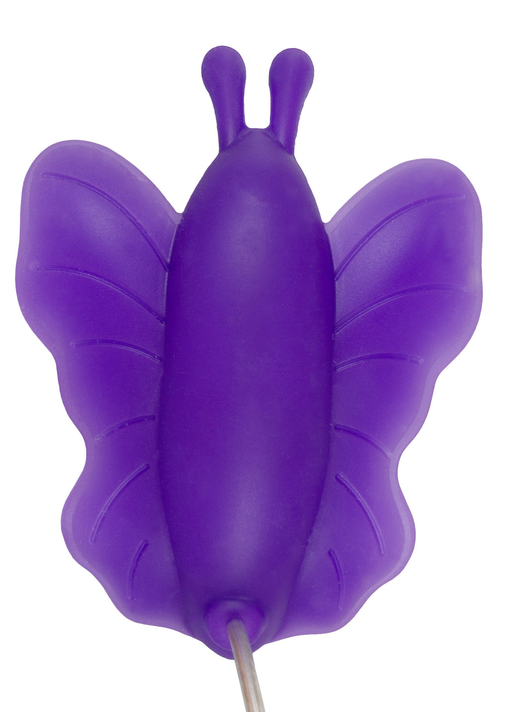 Vagina Schmetterling
