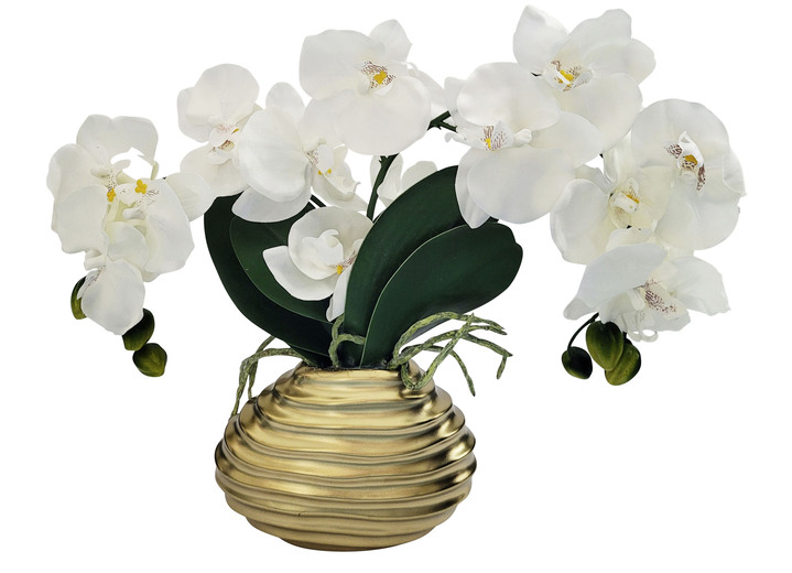 Kunst- & Textilpflanzen - Orchidee in Vase, in Farbe CREME