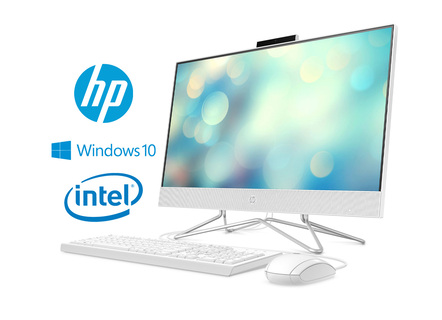 HP All-in-One-PC 24-df1400ng