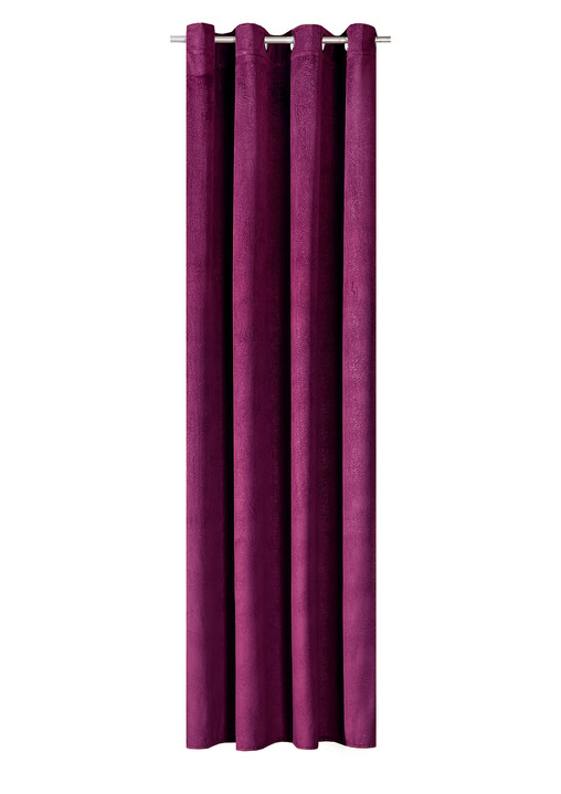 Klassisch - Energiespar-Verdunkelungsschals in Samtoptik, in Größe 364 (H150xB140 cm) bis 436 (H245xB140 cm), in Farbe BORDEAUX, in Ausführung Mit Ösen Ansicht 1