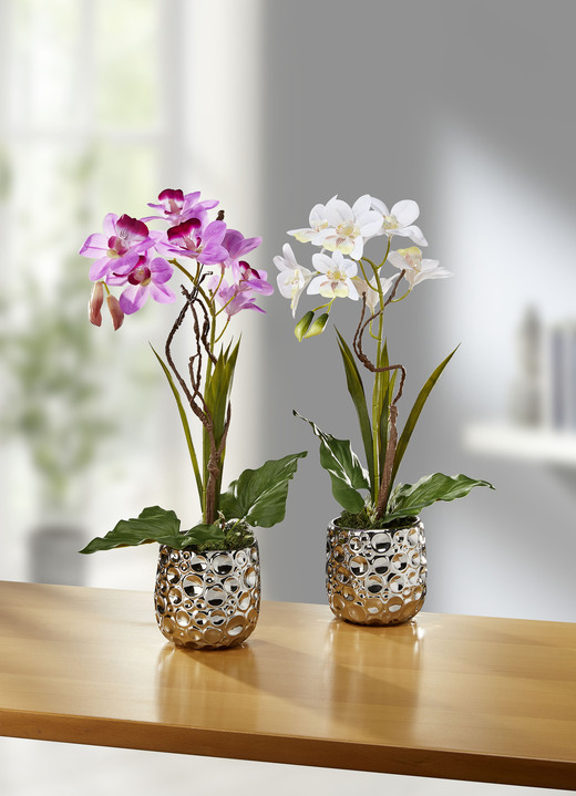 Kunst- & Textilpflanzen - Orchideen-Gesteck im Keramiktopf, in Farbe CREME