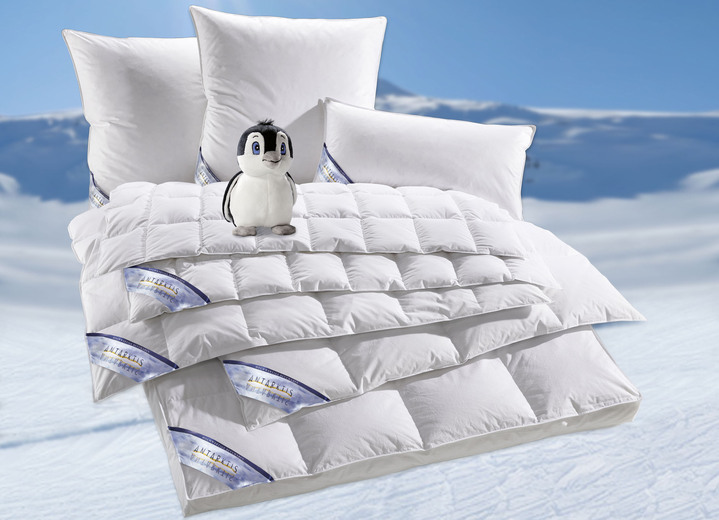 Bettwaren - Daunenprogramm Antarktis von Spessarttraum, in Größe 103 (Decke, 135/200 cm) bis 413 (Sparset, 4-teilig, mit gratis Kuschel-Pinguin), in Farbe WEISS, in Ausführung Extra leicht