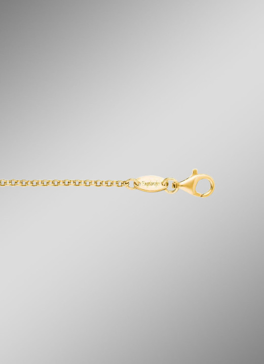 Halsketten - Erbskette, goldplattiert, in Farbe  Ansicht 1