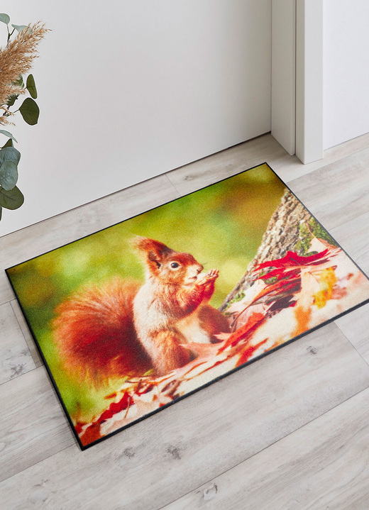Fußmatten - Fußmatte mit Eichhörnchen-Motiv, in Farbe BUNT Ansicht 1