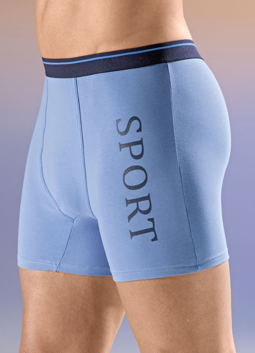 Pants & Boxershorts - Viererpack Pants mit Elastikbund, in Größe 004 bis 011, in Farbe 2X HELLBLAU, 2X MARINE Ansicht 1