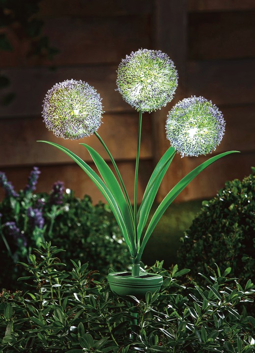 Gartenbeleuchtung - Solarleuchten, 2er-Set, in Farbe GRÜN Ansicht 1