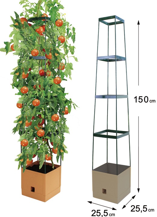 Blumentöpfe & Pflanzgefäße - MAXITOM Tomaten-Rankhilfe Komplett-Set , in Farbe TERRA Ansicht 1