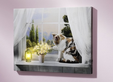 LED-Bild mit Katze