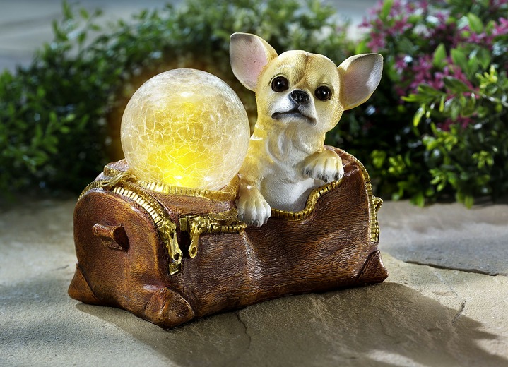 Gartenbeleuchtung - Solarleuchte Chihuahua aus Polyresin, in Farbe BEIGE