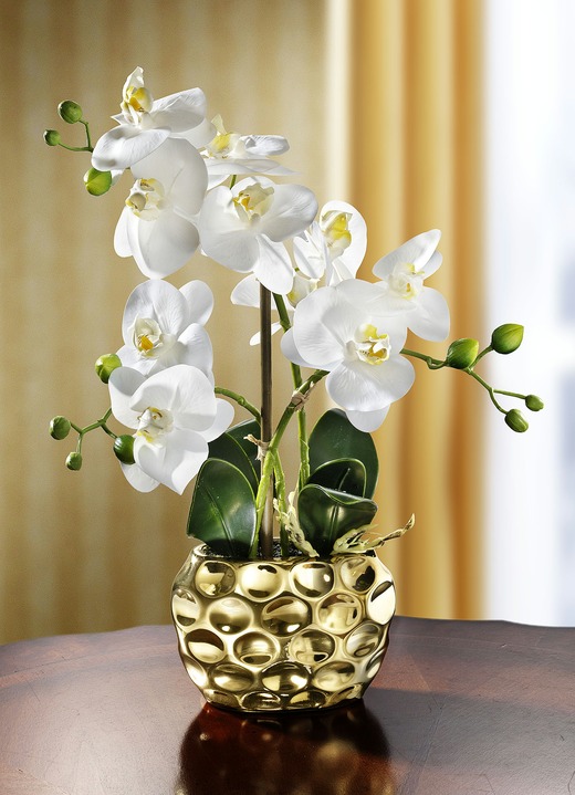 - Orchidee im Topf, in Farbe GOLD