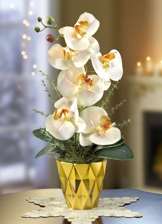 Weihnachten - Orchidee im Topf, in Farbe CREME-GOLD