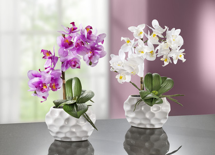 Orchideen-Gesteck in Keramikvase