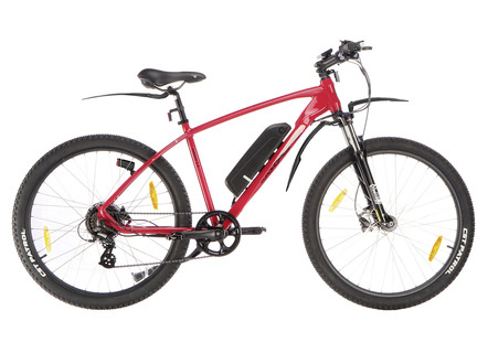 Elektro-Mountainbike mit leistungsstarkem 250 Watt Hinterradmotor