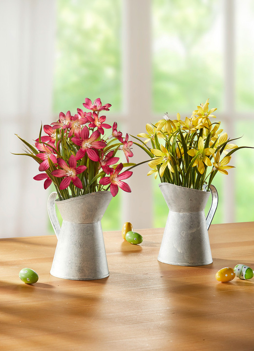 - Sternblumen in weißer Metallkanne, in Farbe GELB