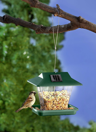 Solar-Vogelrestaurant