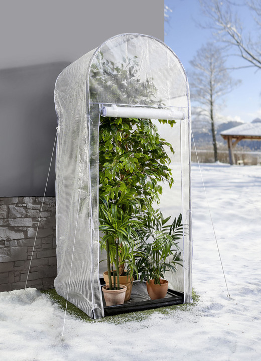 Garten - Frost-Schutzhaus mit Rahmen aus verzinktem Stahl, in Farbe WEISS-TRANSPARENT, in Ausführung groß
