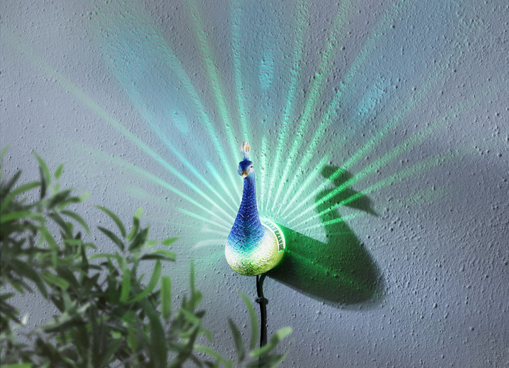 - Solar-Wandleuchte Pfau, in Farbe BUNT Ansicht 1