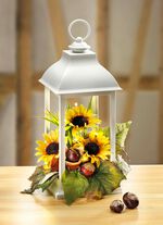 Laterne mit Beleuchtung 