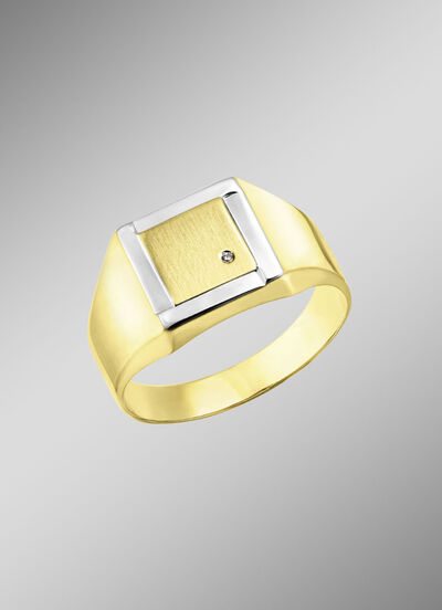 Herrenring in Bicolor-Design  Herrenring in Bicolor-Design