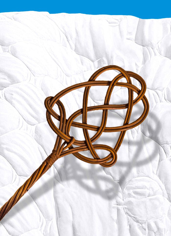 Milbensauger &ndash; vernichtet 99,9% aller Milben, Bakterien und Keime ROT