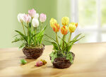 Tulpen im Weidekorb GELB-ORANGE