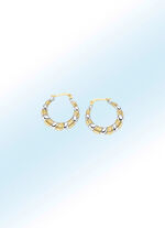 Attraktive Creolen in Bicolor 