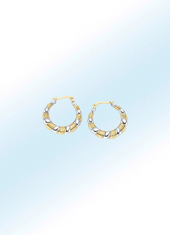 Attraktive Creolen in Bicolor 