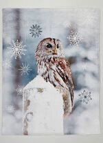 Wohndecke mit Eulen-Motiv BUNT