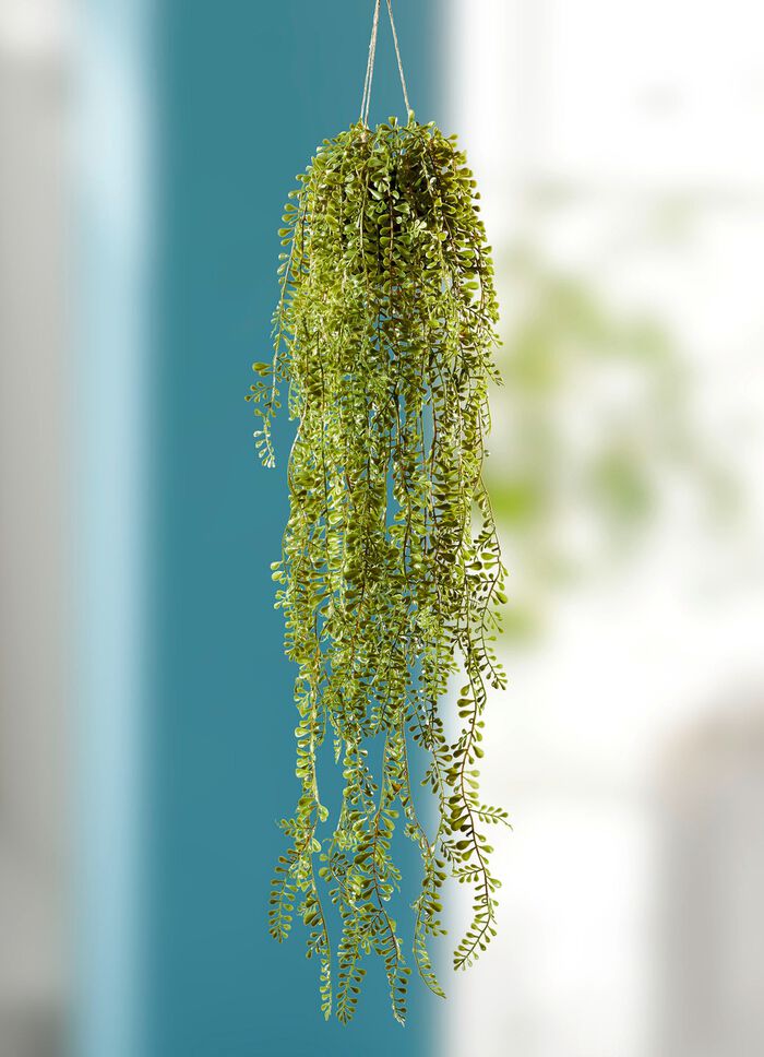 Senecio-H&auml;nger mit Aufh&auml;ngung 