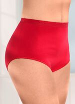 brio lingerie F&uuml;nferpack Slips mit elastischen Abschl&uuml;ssen 