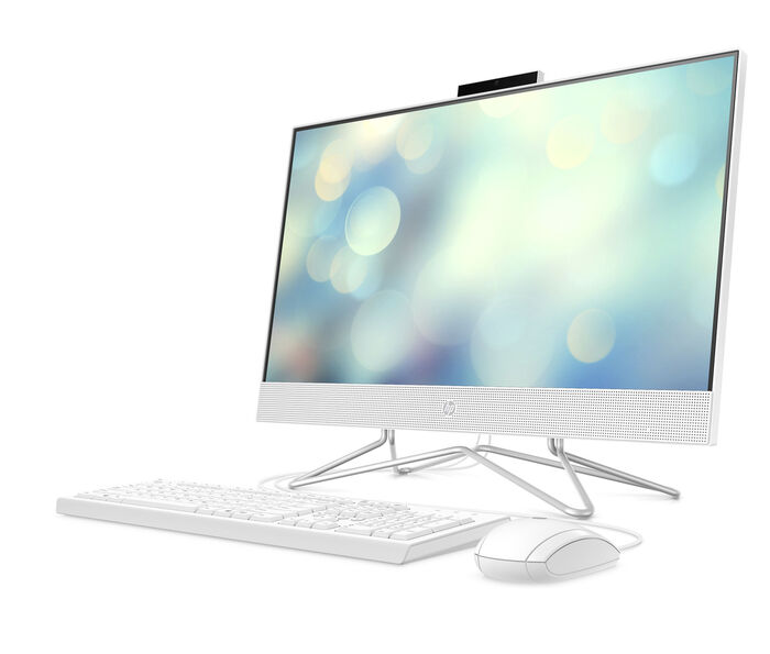 HP All-in-One-PC 24-df1400ng 