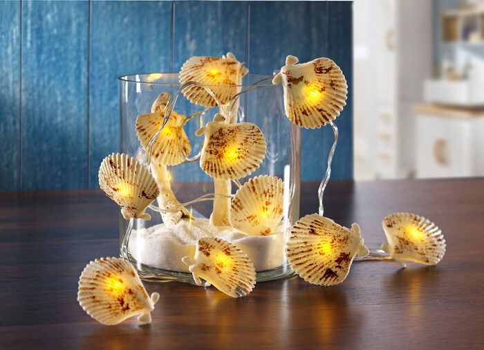 Lichterkette Muscheln 
