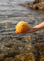 Badeschwamm aus nat&uuml;rlichem Material 