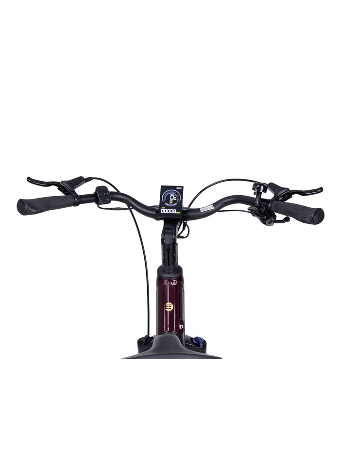 E-Bike Deluxe SUV Easy BURGUND-GLANZ