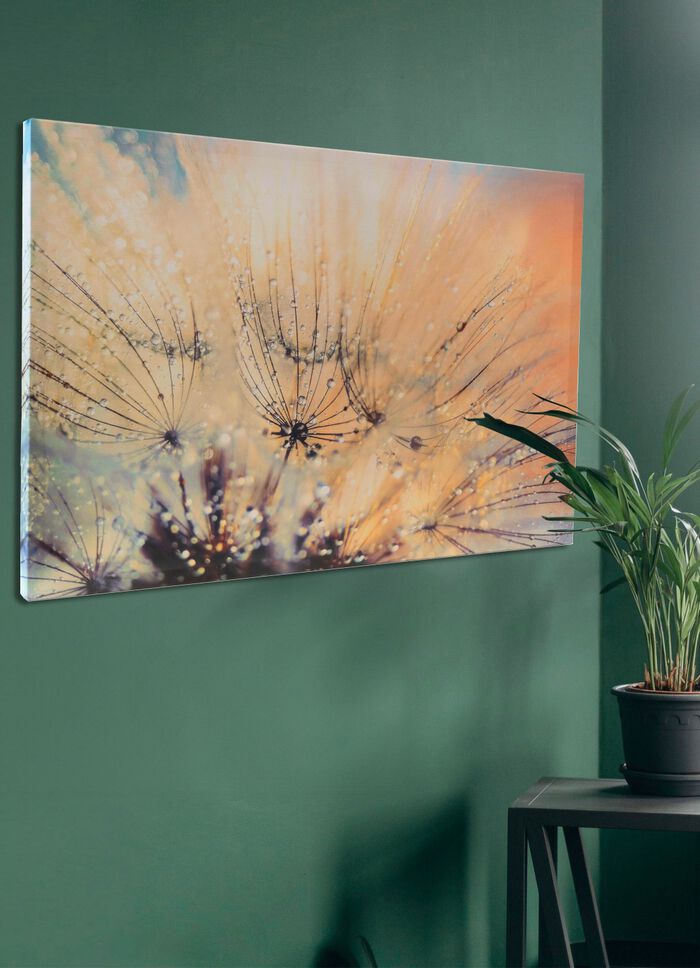 Leinwandbild mit Zertifikat 