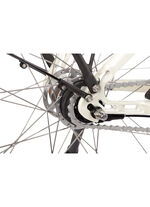 E-Bike Comfort Plus 5.0 von Saxonette 