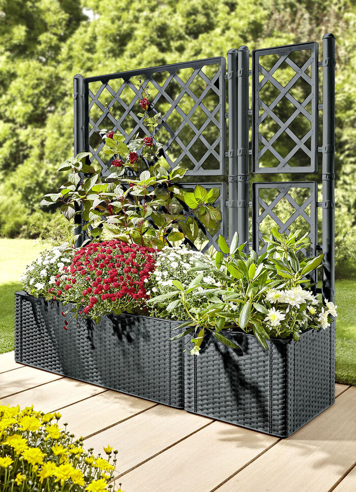 Pflanzkasten in moderner Rattan-Optik ANTHRAZIT
