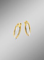 Gl&auml;nzende Creolen in Bicolor, 2-reihig 