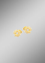 Schicke Ohrstecker im Blumen-Design 