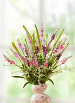 Fr&uuml;hlingsstrau&szlig; 