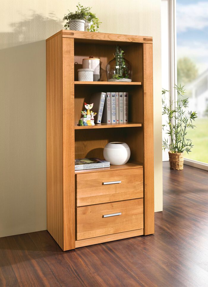 Regal mit Massivholzfronten 