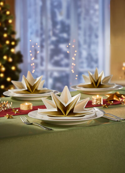 Gefaltene Servietten,  8er-Set 