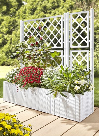 Pflanzkasten in moderner Rattan-Optik  Pflanzkasten in moderner Rattan-Optik