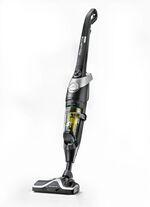 Rowenta RH8155 Stielsauger mit hoher Saugleistung 