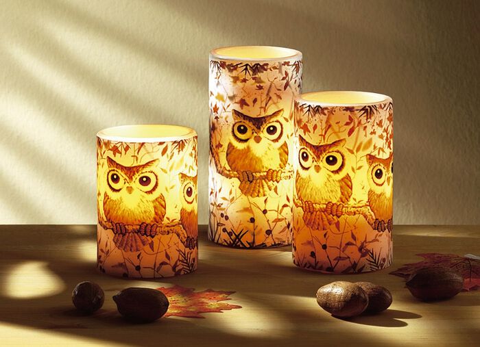 LED-Echtwachskerzen mit Eulenmotiv, 3er-Set 