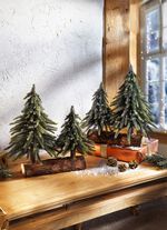 Tannenb&auml;ume auf Baumstamm 